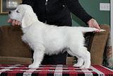 Bentleystack.jpg image by degazio